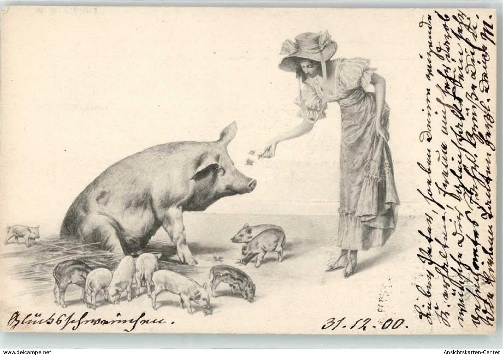 52235611 - - Schweine
