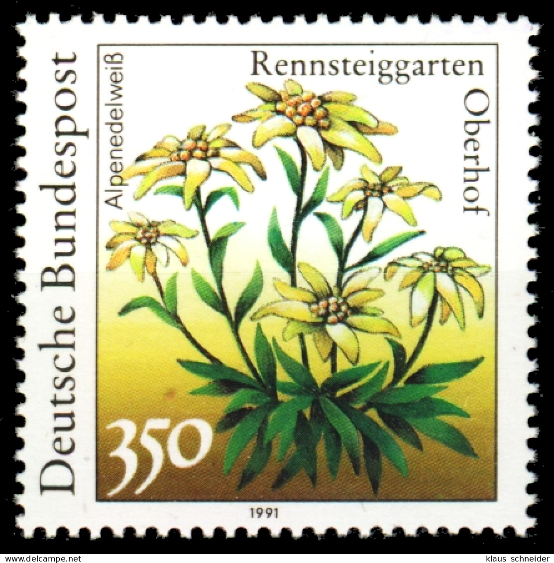 BRD 1991 Nr 1509 Postfrisch S76339A - Unused Stamps