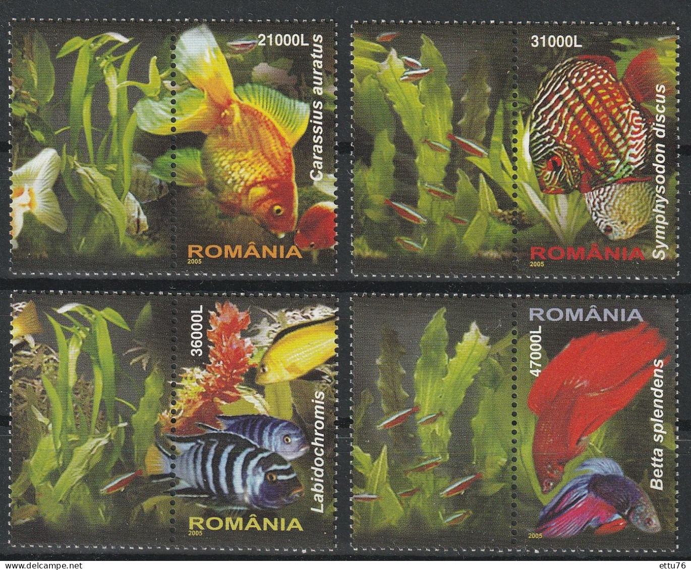 Romania  2005  Exotic  Fish Set  MNH - Poissons