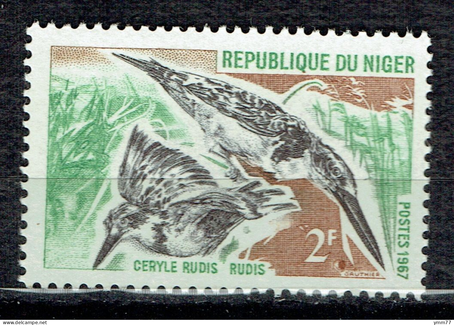 Oiseaux : Ceryle Rudis - Niger (1960-...)