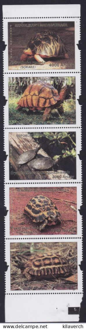 Madagascar 2023 - Tortues - Madagascar (1960-...)
