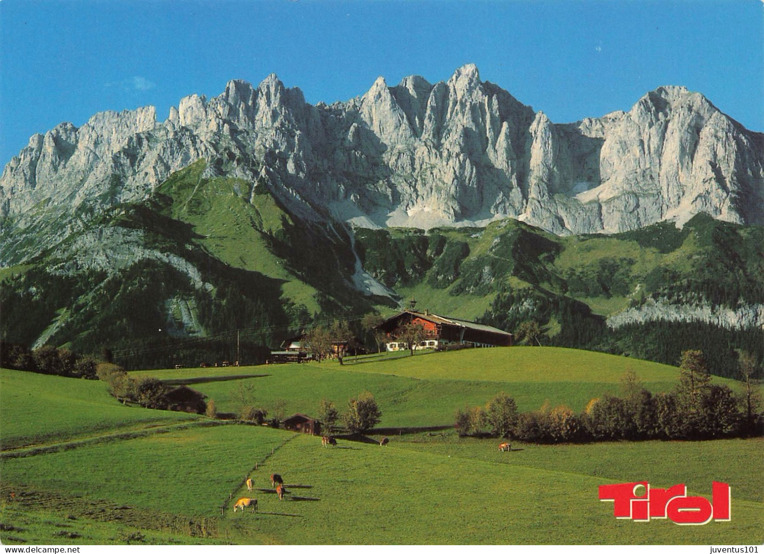 CPSM UrlaubsgrüBe Vom Wilden Kaiser-Tirol    L2920 - Autres & Non Classés
