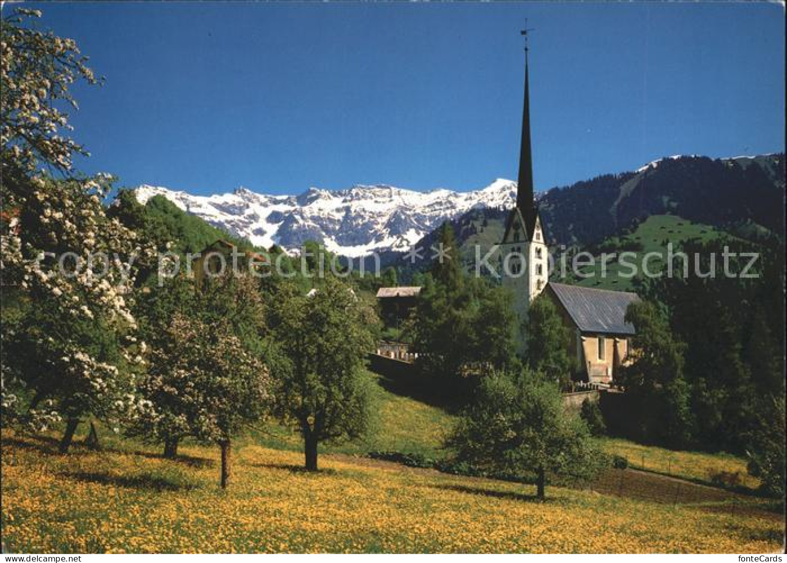 11718727 Seewis GR Kirche Mit Scesaplana Blick  - Other & Unclassified