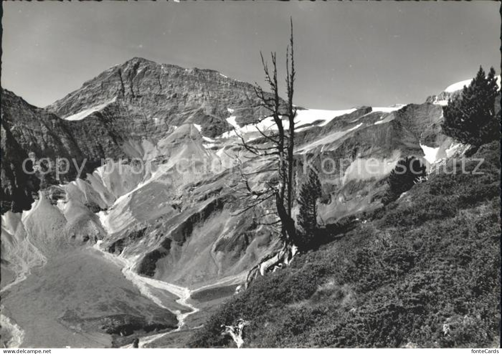 11715877 Trinserhorn Mit Sardonagebirge Trinserhorn - Autres & Non Classés