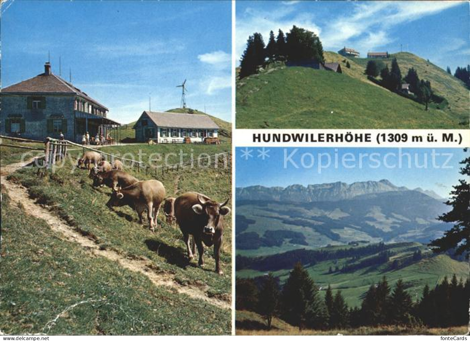 11715876 Hundwilerhoehe Dorfpartie Landschaftspanorama Hundwiler Hoehe - Autres & Non Classés
