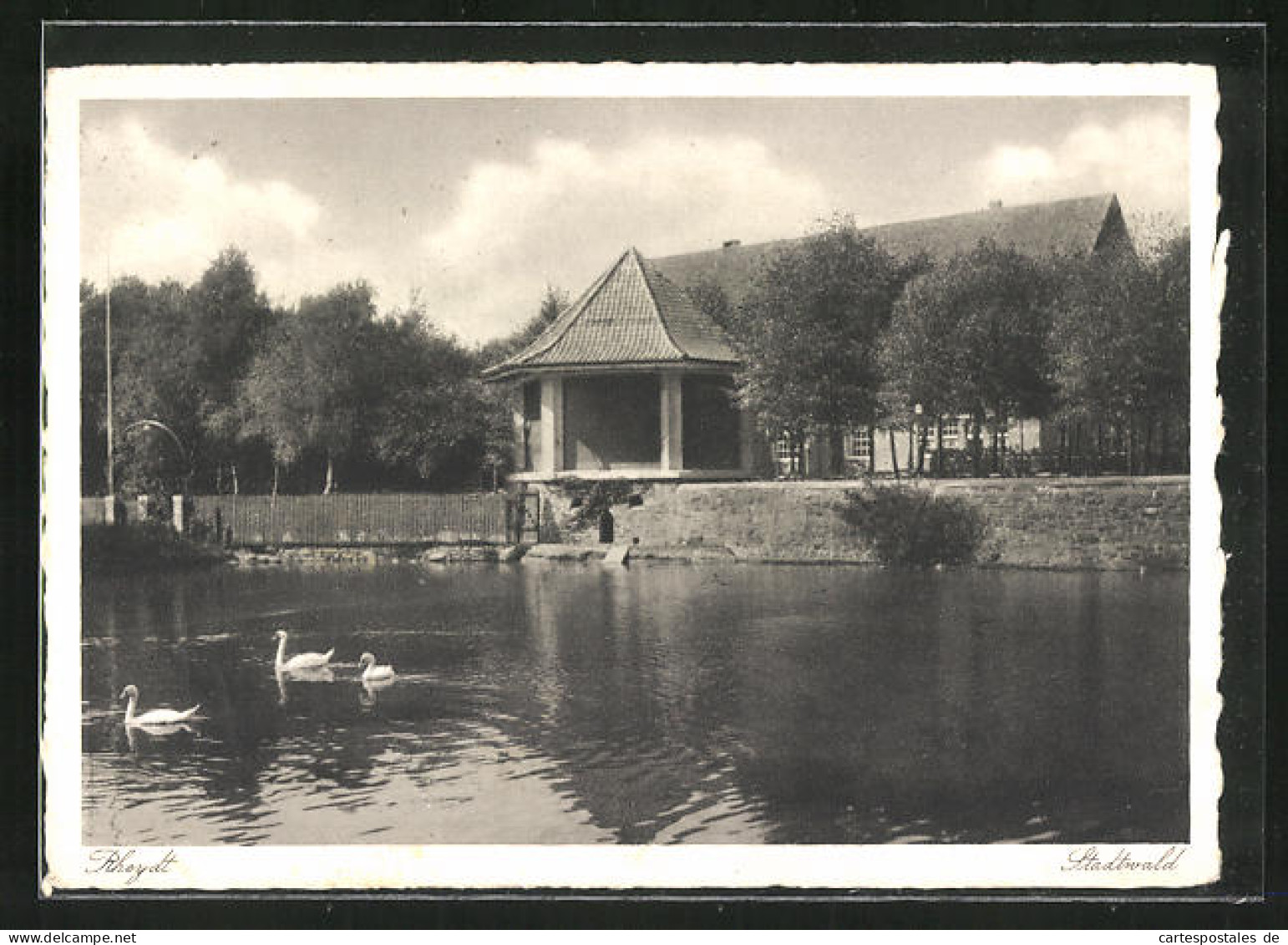 AK Rheydt, See Im Stadtwald  - Sonstige & Ohne Zuordnung