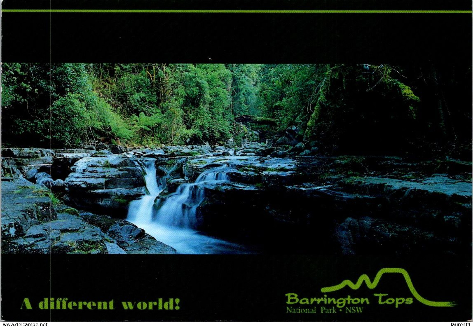 17-5-2024 (5 Z 21) Australia - NSW - (posted With Roses Stamp) Barrington Tops National Park - Sonstige & Ohne Zuordnung