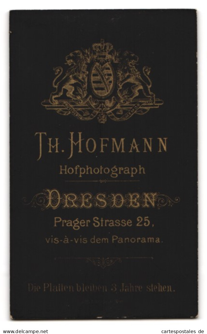 Fotografie Th. Hofmann, Dresden, Prager Strasse 25, Portrait Beleibte Dame Mit Hochsteckfrisur  - Personnes Anonymes