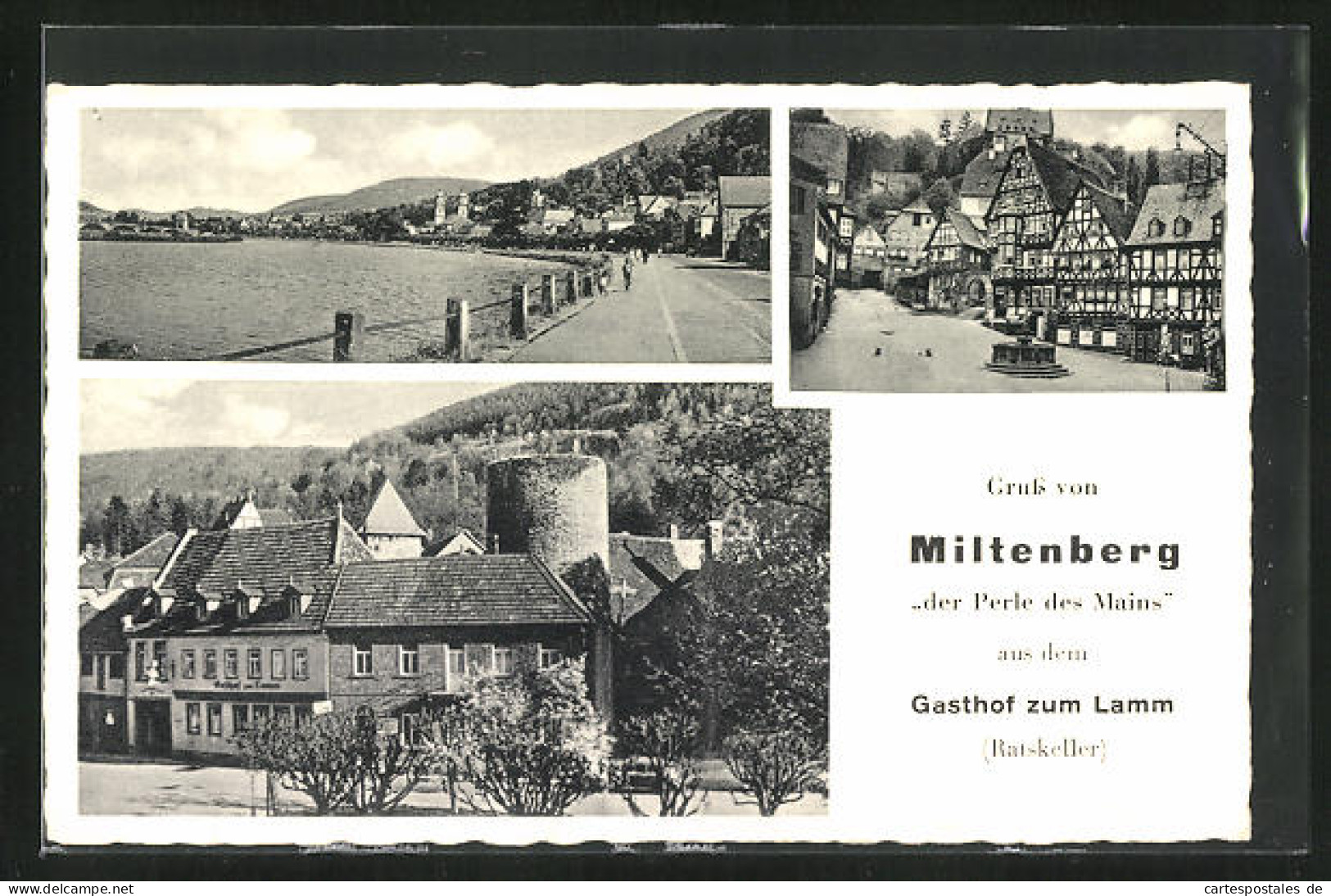 AK Miltenberg, Gasthof Zum Lamm, Strassenpartie Mit Fachhwerkhäusern, Uferpartie  - Miltenberg A. Main