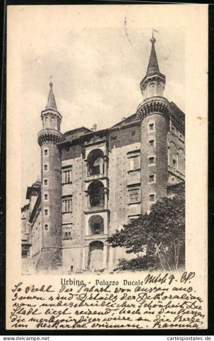 Cartolina Urbino, Palazzo Ducale  - Urbino