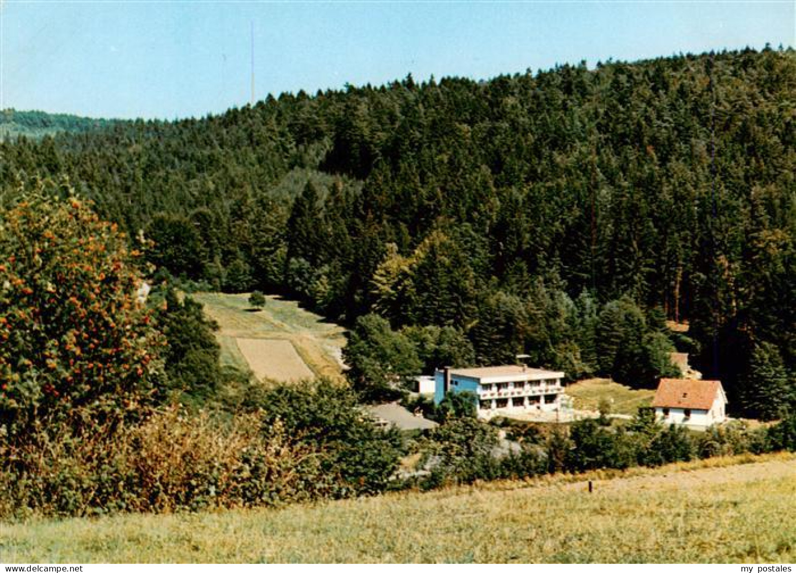 73946693 Oberlohrgrund Hotel Restaurant Pension Immenhof - Sonstige & Ohne Zuordnung