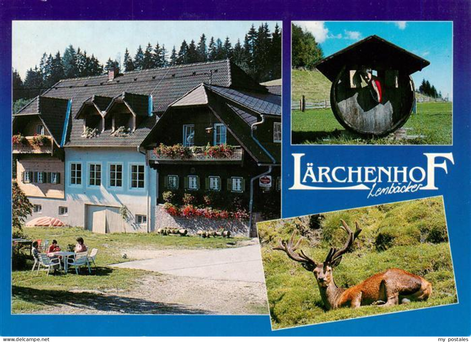 73946674 Vorau_Steiermark_AT Laerchenhof Lembaecker Hirsch - Andere & Zonder Classificatie
