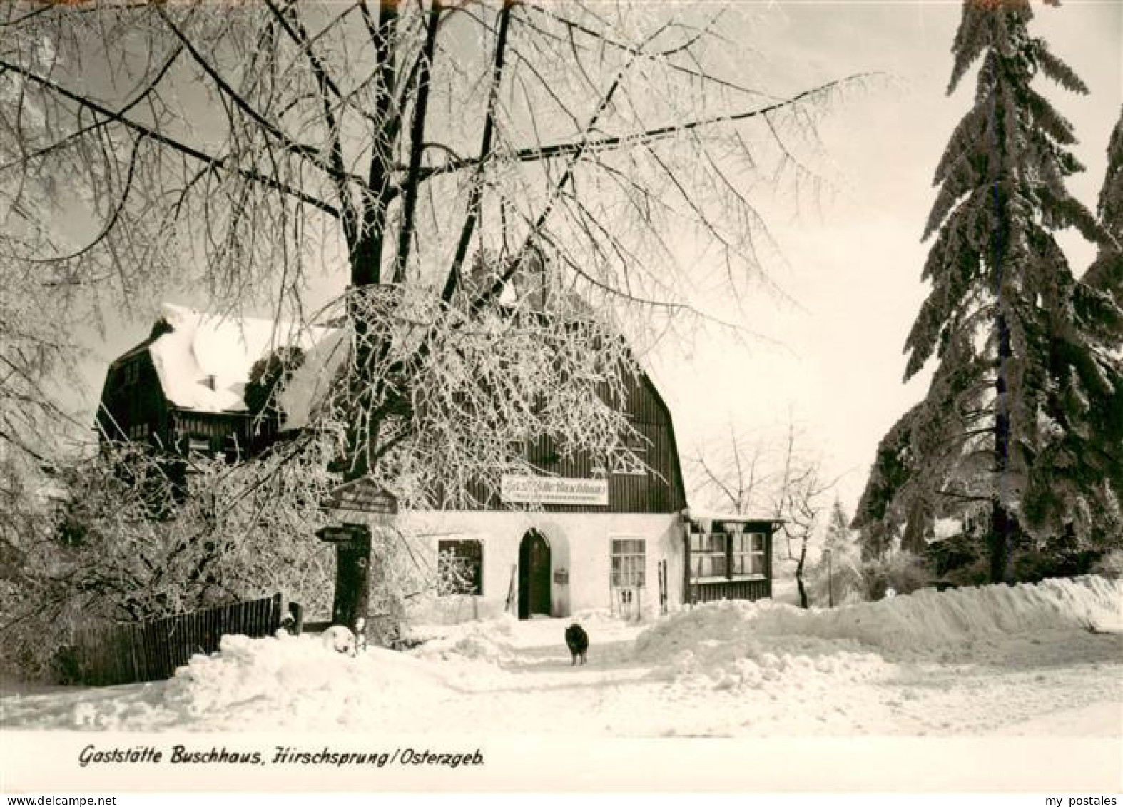 73905324 Hirschsprung Gaststaette Buschhaus - Altenberg