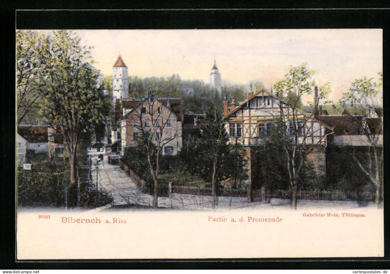 AK Biberach / Riss, Promenade Mit Strassenansicht  - Biberach