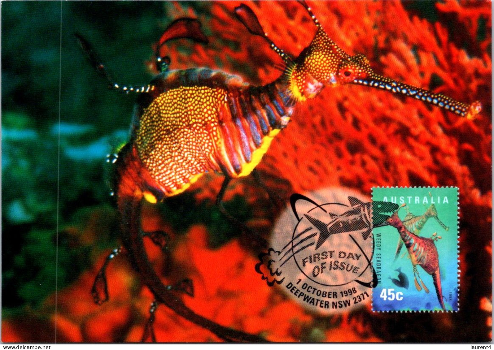 17-5-2024 (5 Z 25) Australia - Weedy Seadragon - Maximumkaarten