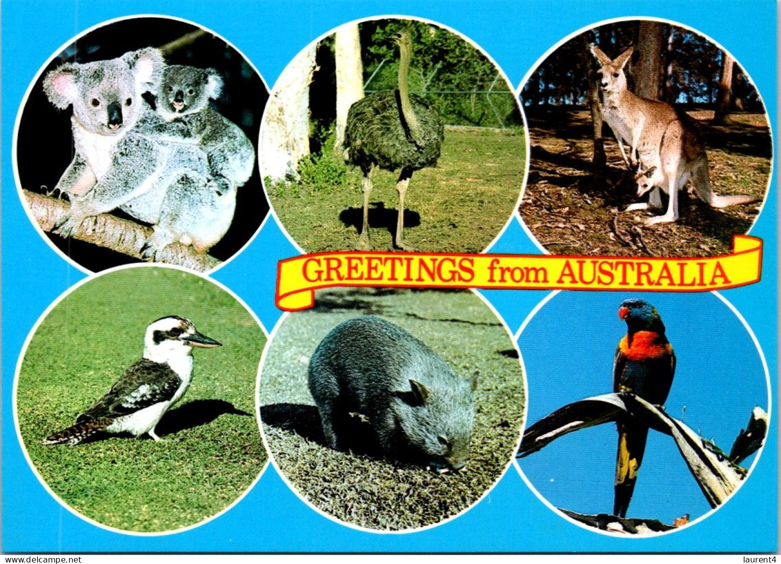 17-5-2024 (5 Z 25) Greetings From Australia - Andere & Zonder Classificatie