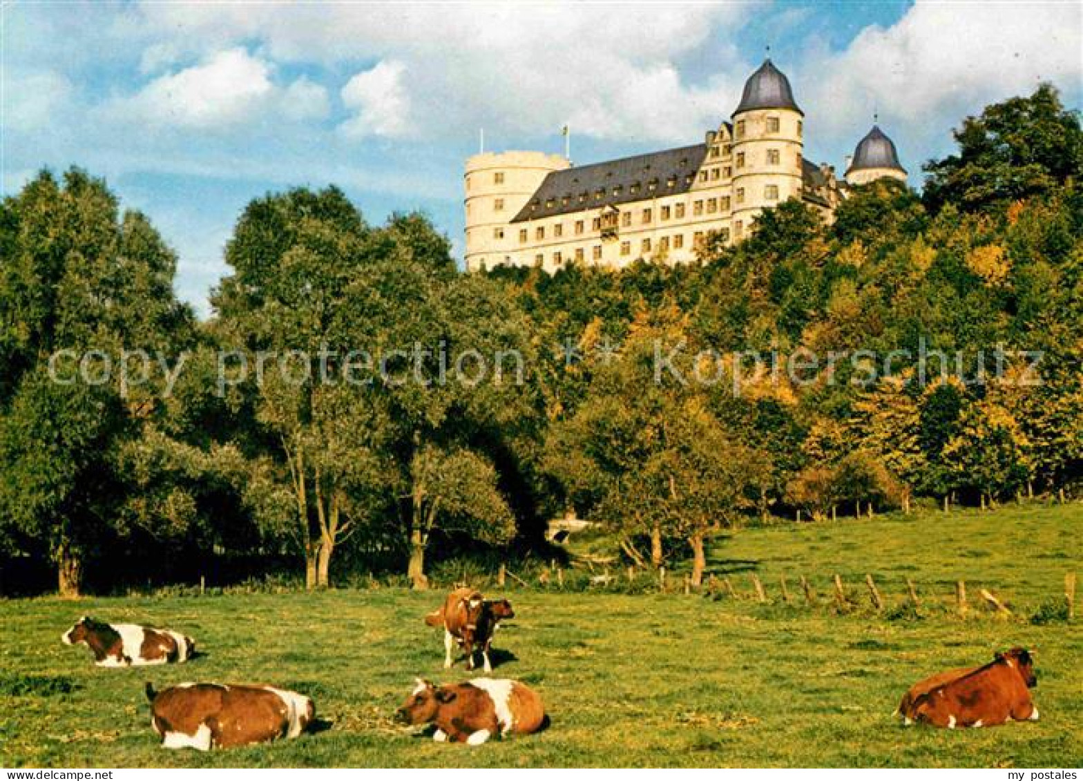 72663721 Weselsburg Bueren Bergschloss Viehweide Kuehe Weselsburg Bueren - Other & Unclassified