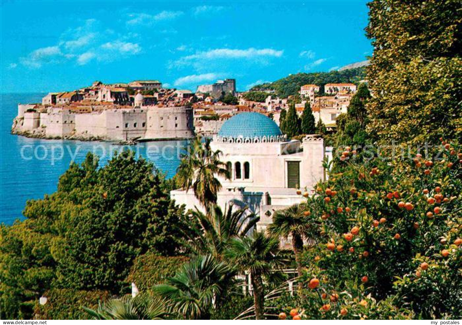 72663463 Dubrovnik Ragusa Altstadt Festung Orangenbaeume Dubrovnik - Croatie