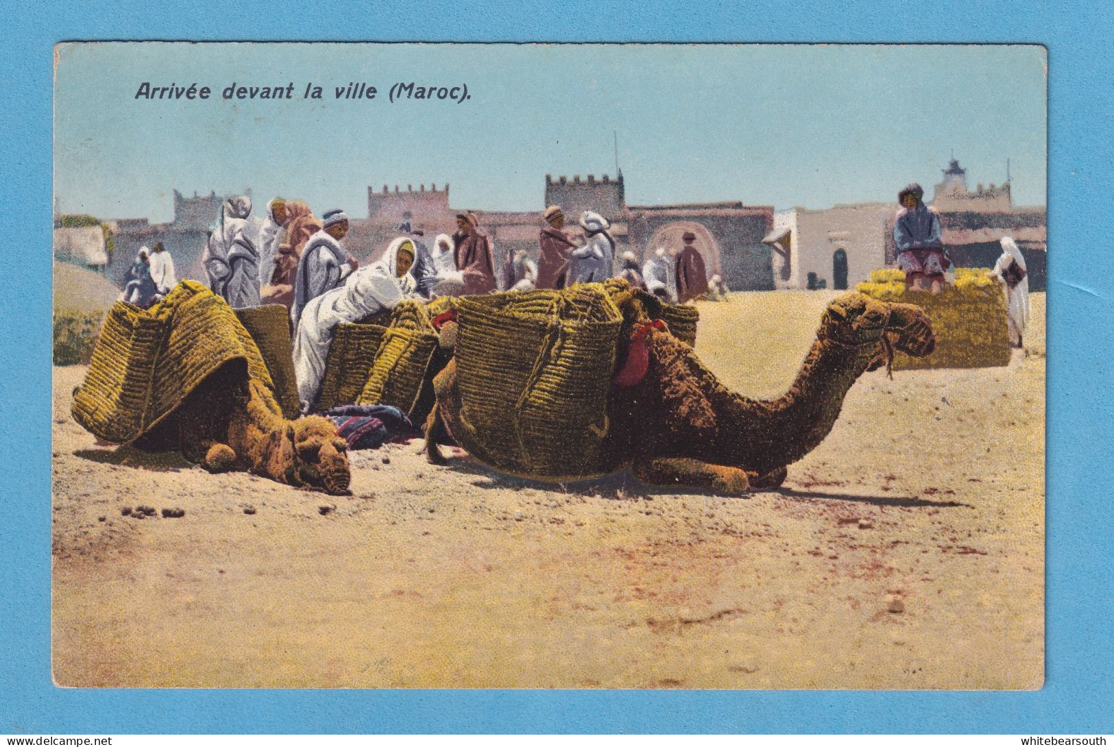 620 MAROC MARRUECOS CAMEL RARE COLOR POSTCARD - Other & Unclassified