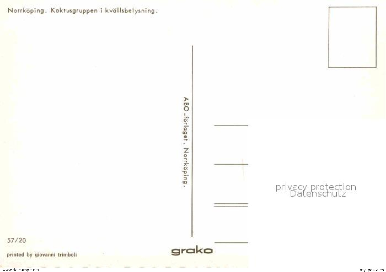 72662781 Norrkoeping Kaktusgruppen I Kvaellsbelysning Norrkoeping - Suède