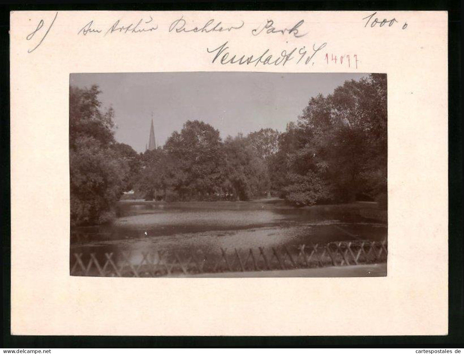 Fotografie Brück & Sohn Meissen, Ansicht Neustadt I. Sa., Blick Auf Den Teich Im Arthur-Richter-Park  - Orte