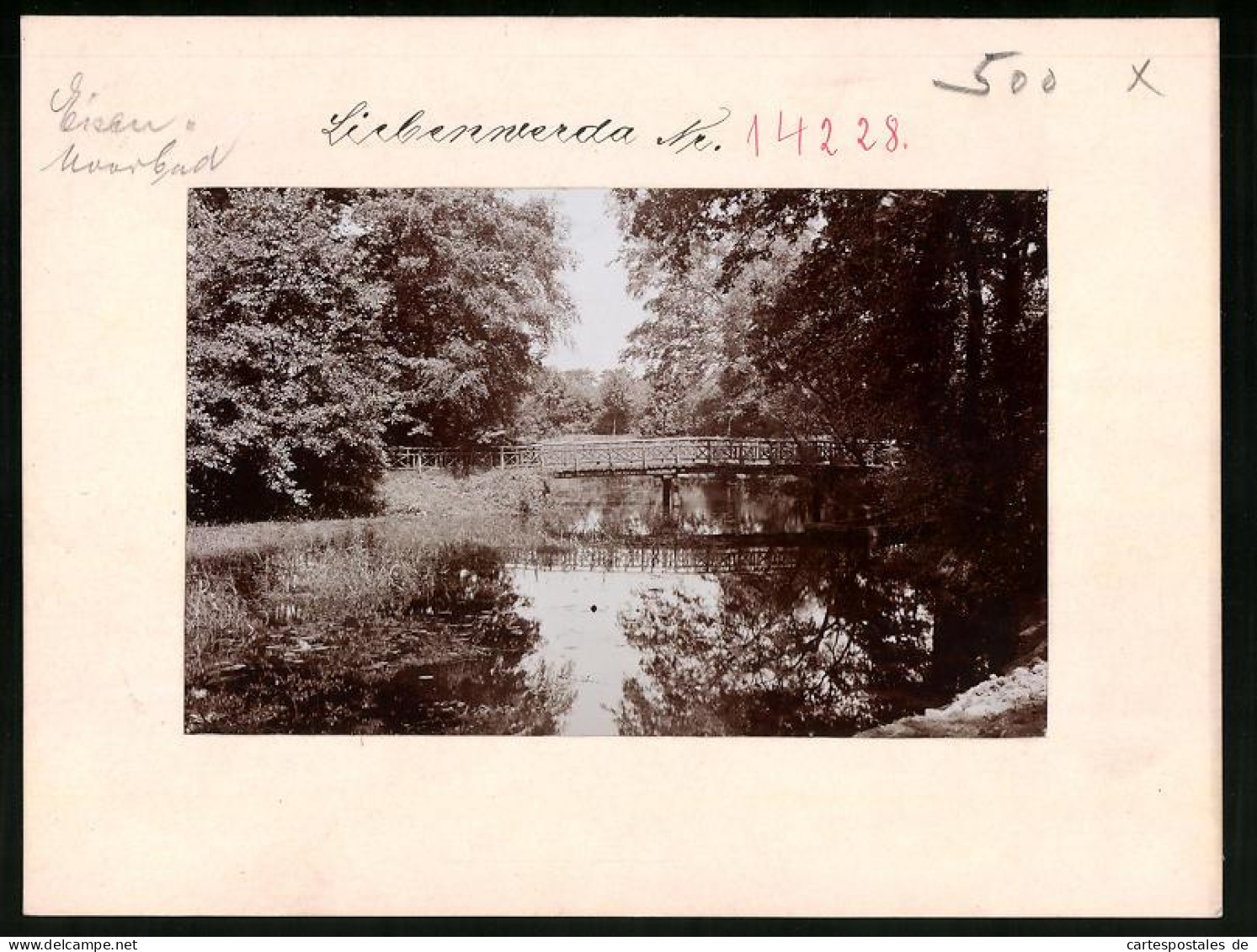 Fotografie Brück & Sohn Meissen, Ansicht Bad Liebenwerda, Alte Holzbrücke Im Wäldchen  - Lieux