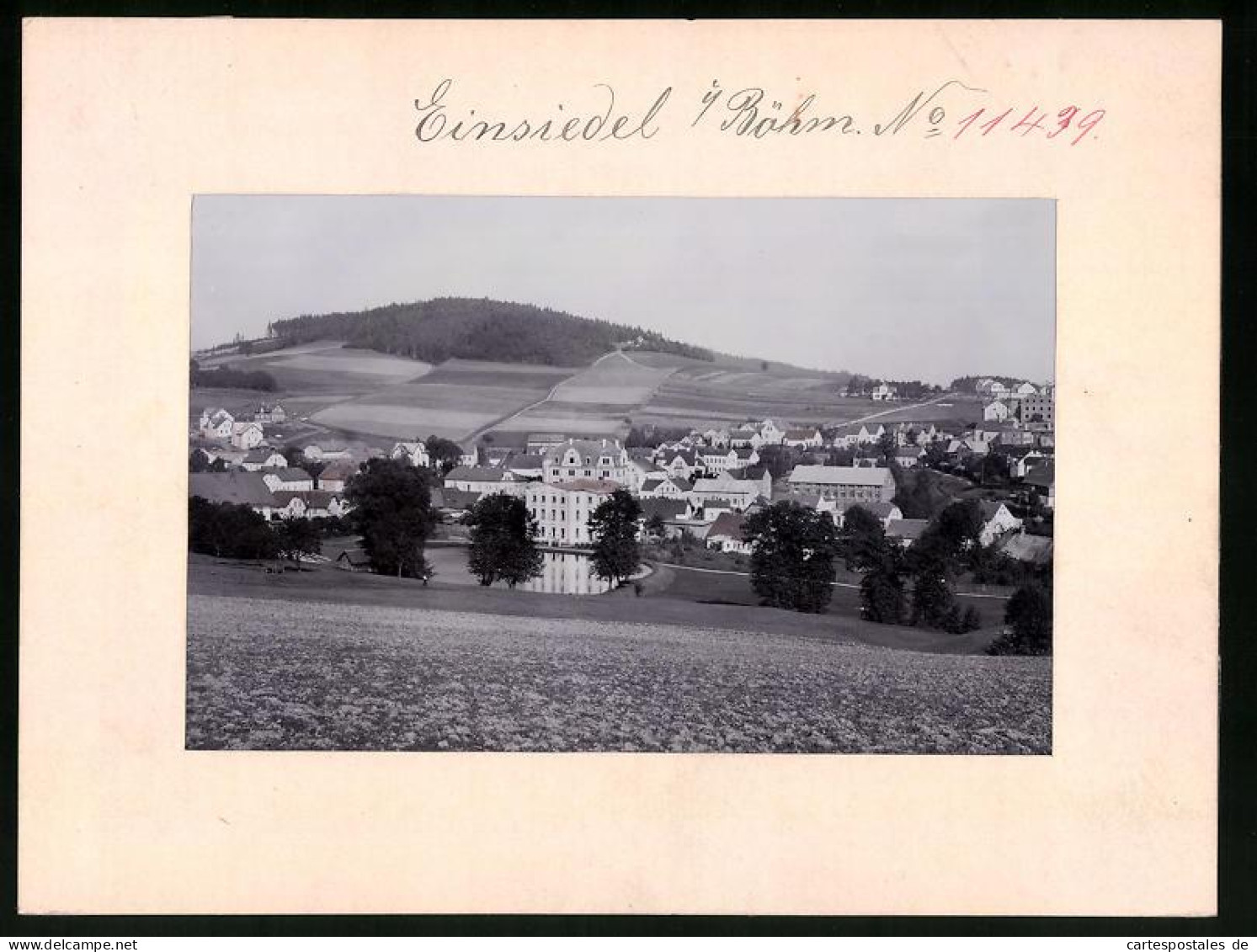 Fotografie Brück & Sohn Meissen, Ansicht Einsiedel / Böhmen, Teilansicht Der Ortschaft Mit Dorfteich  - Lieux