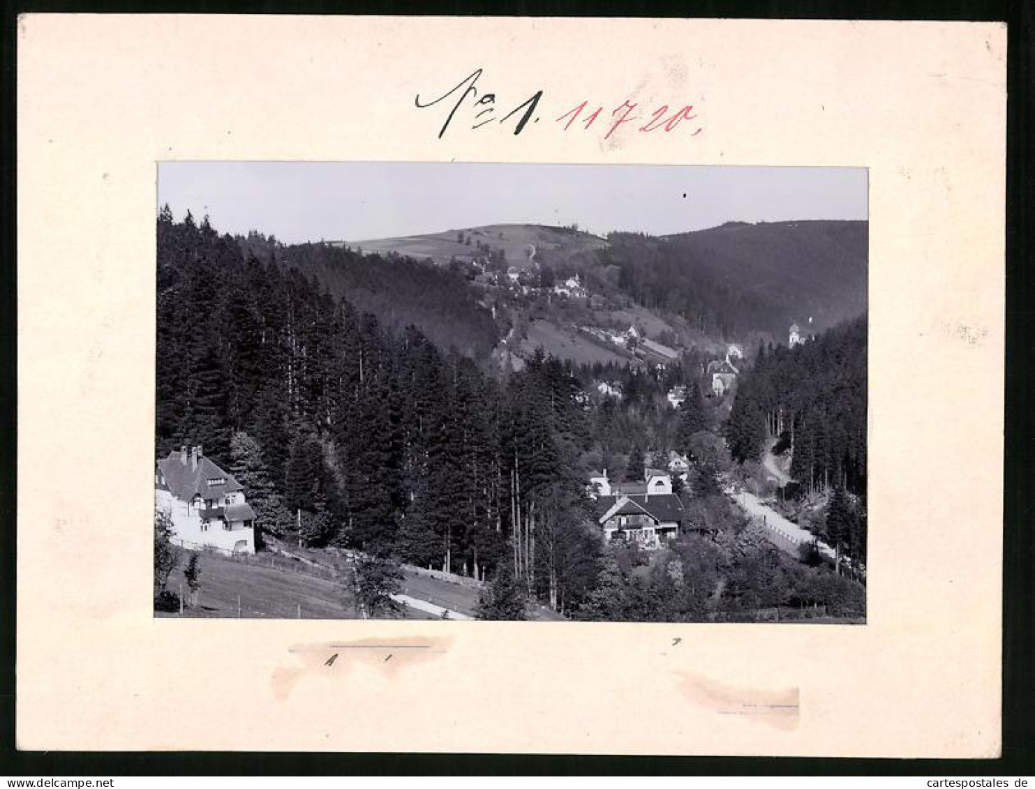 Fotografie Brück & Sohn Meissen, Ansicht Kipsdorf, Ortschaft Von Bärenfels Aus Gesehen  - Lieux