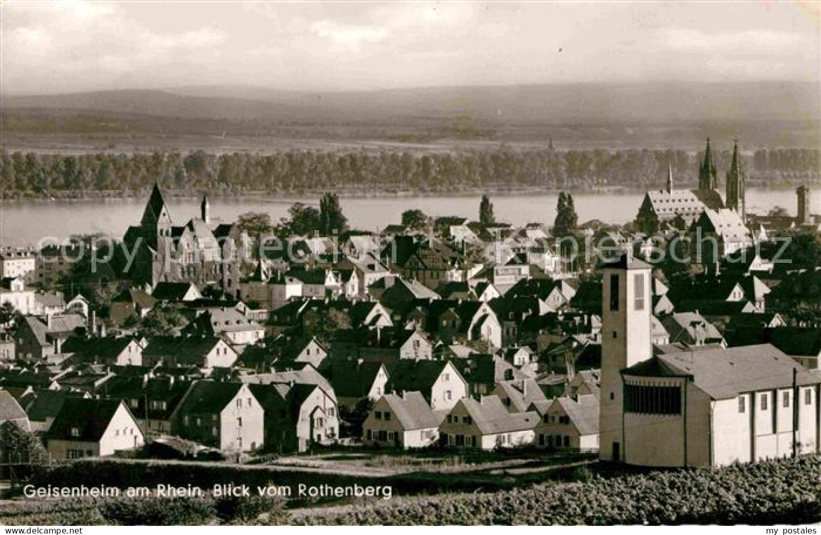 72659526 Geisenheim Blick Vom Rothenberg  Geisenheim - Sonstige & Ohne Zuordnung