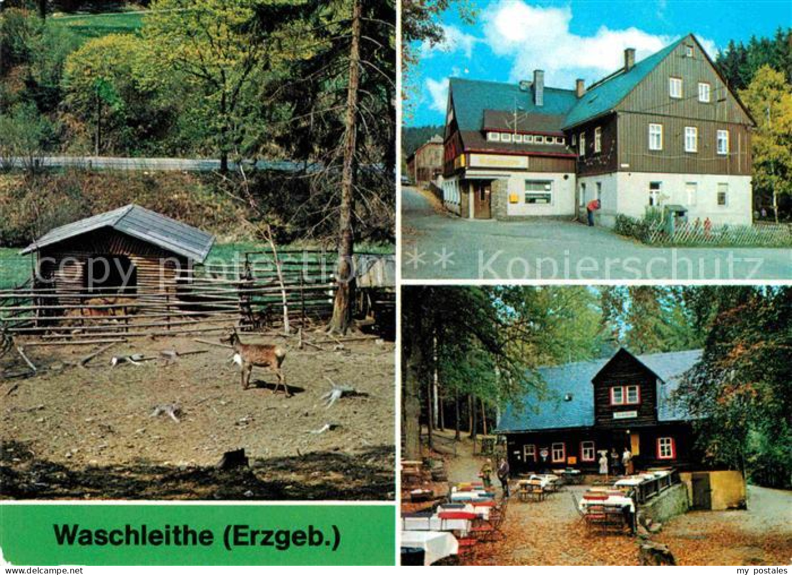72655795 Waschleithe Tierpark Restaurant Osterlamm Und Koehlerhuette Waschleithe - Grünhain