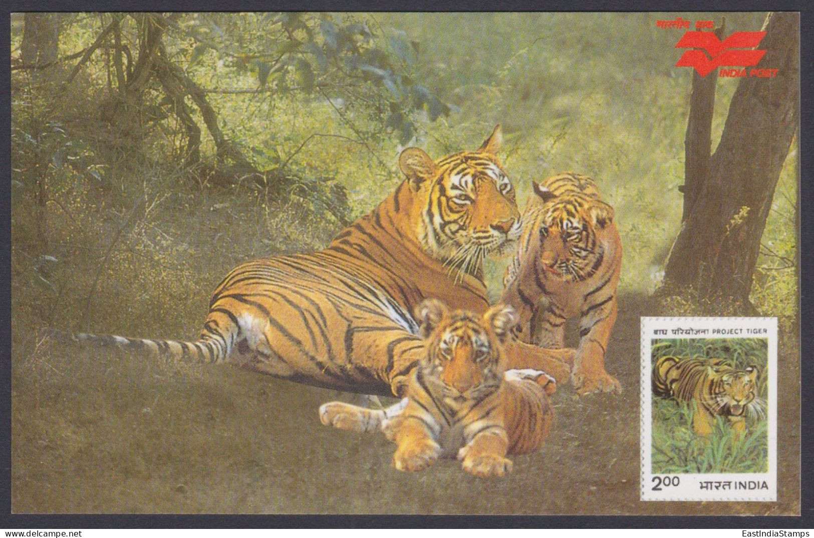 Inde India 2006 Mint Postcard Wildlife Of Rajasthan, Tiger, Tigers, Wild Animal, Animals, Wild Life - India