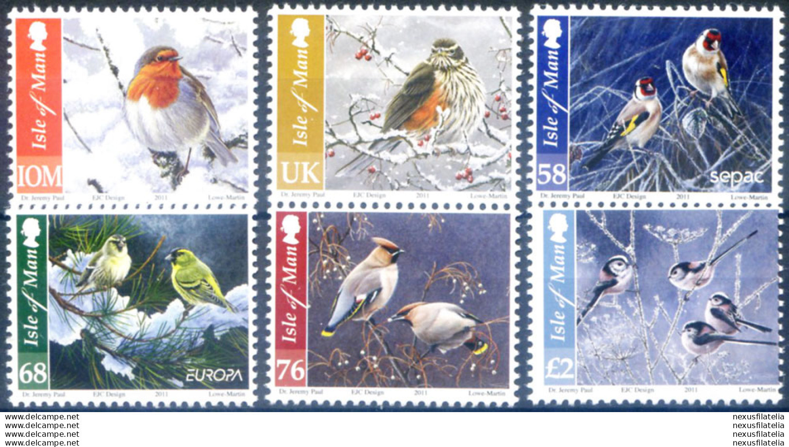 Fauna. Uccellini In Inverno 2011. - Isle Of Man