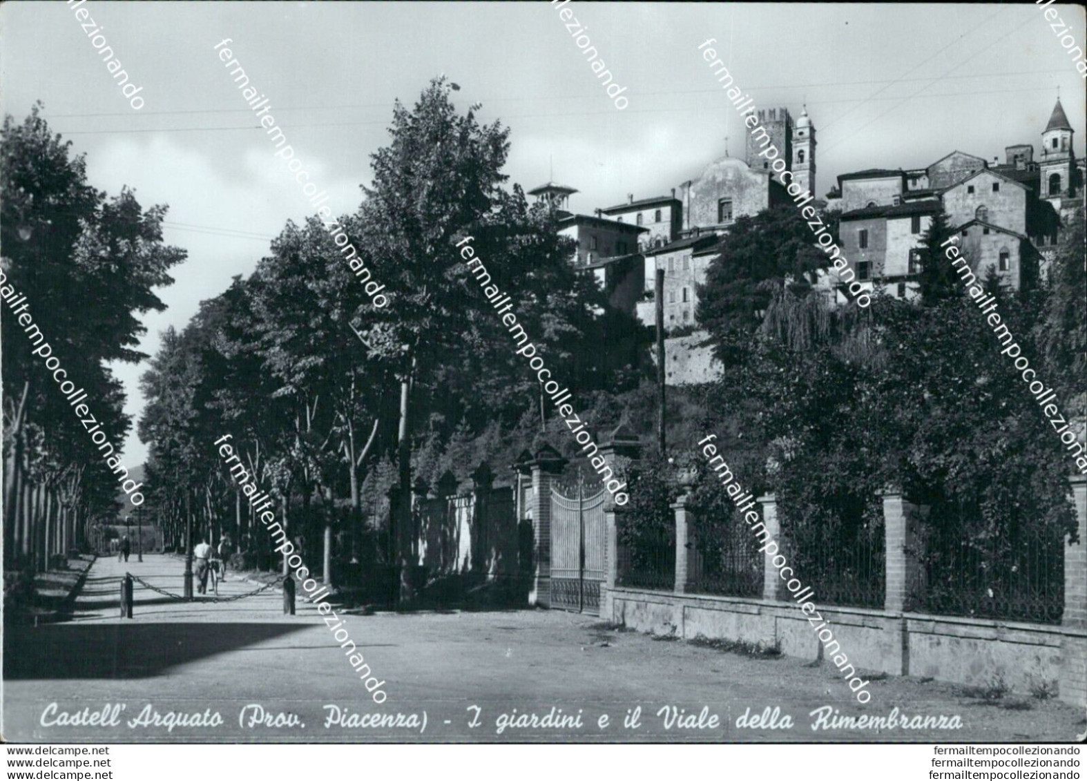 Bu108 Cartolina Castell'arquato I Giardini E Il Viale Della Rimembranza Piacenza - Piacenza