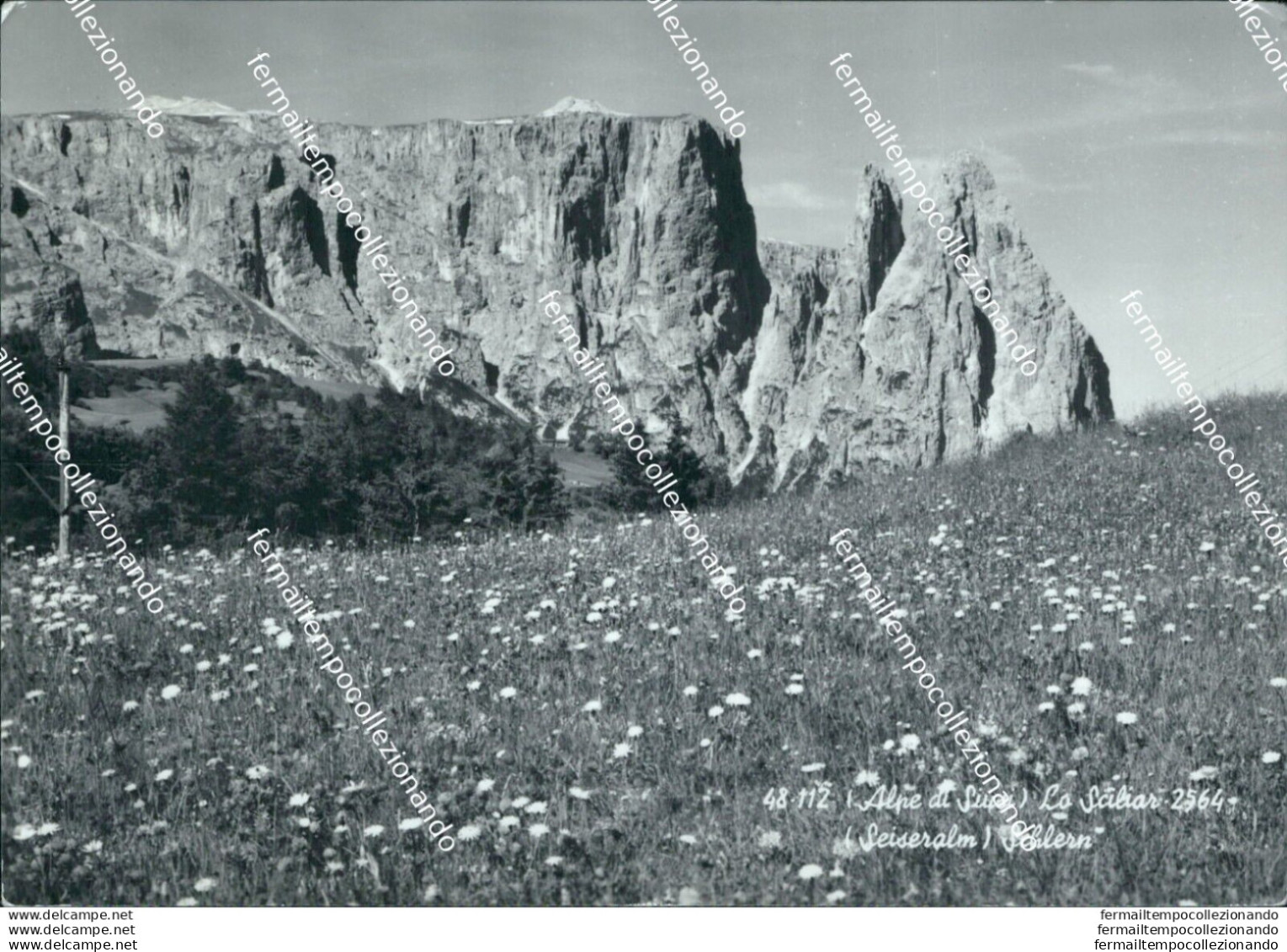 Bm350 Cartolina Alpe Di Siusi Lo Scillar Provincia Di Bolzano - Bolzano (Bozen)