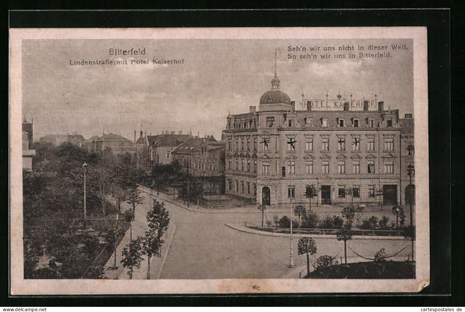 AK Bitterfeld, Lindenstrasse Mit Hotel Kaiserhof  - Bitterfeld