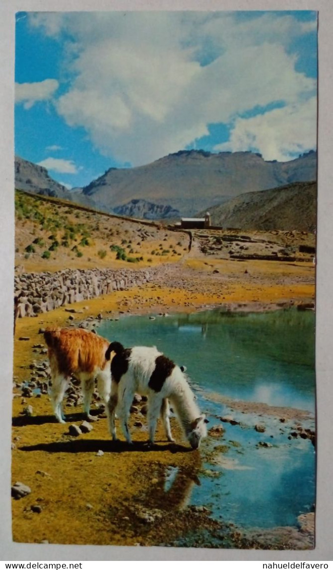 Carte Postale - Quebrada De Humahuaca, Jujuy, Argentine. - Argentine