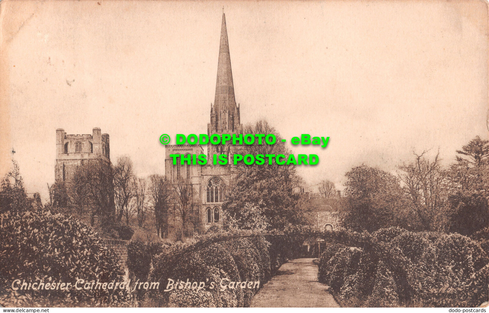 R501440 Chichester Cathedral From Bishops Garden. W. H. Barrett. 1921 - Monde