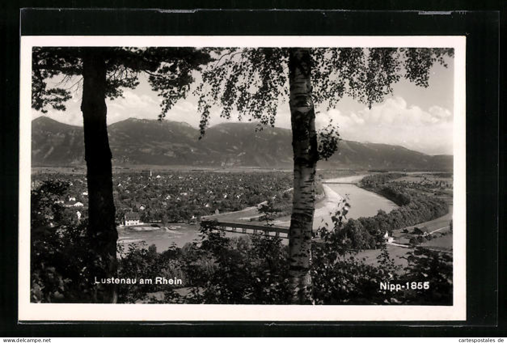 AK Lustenau Am Rhein, Gesamtansicht Von Einem Berg Aus  - Other & Unclassified