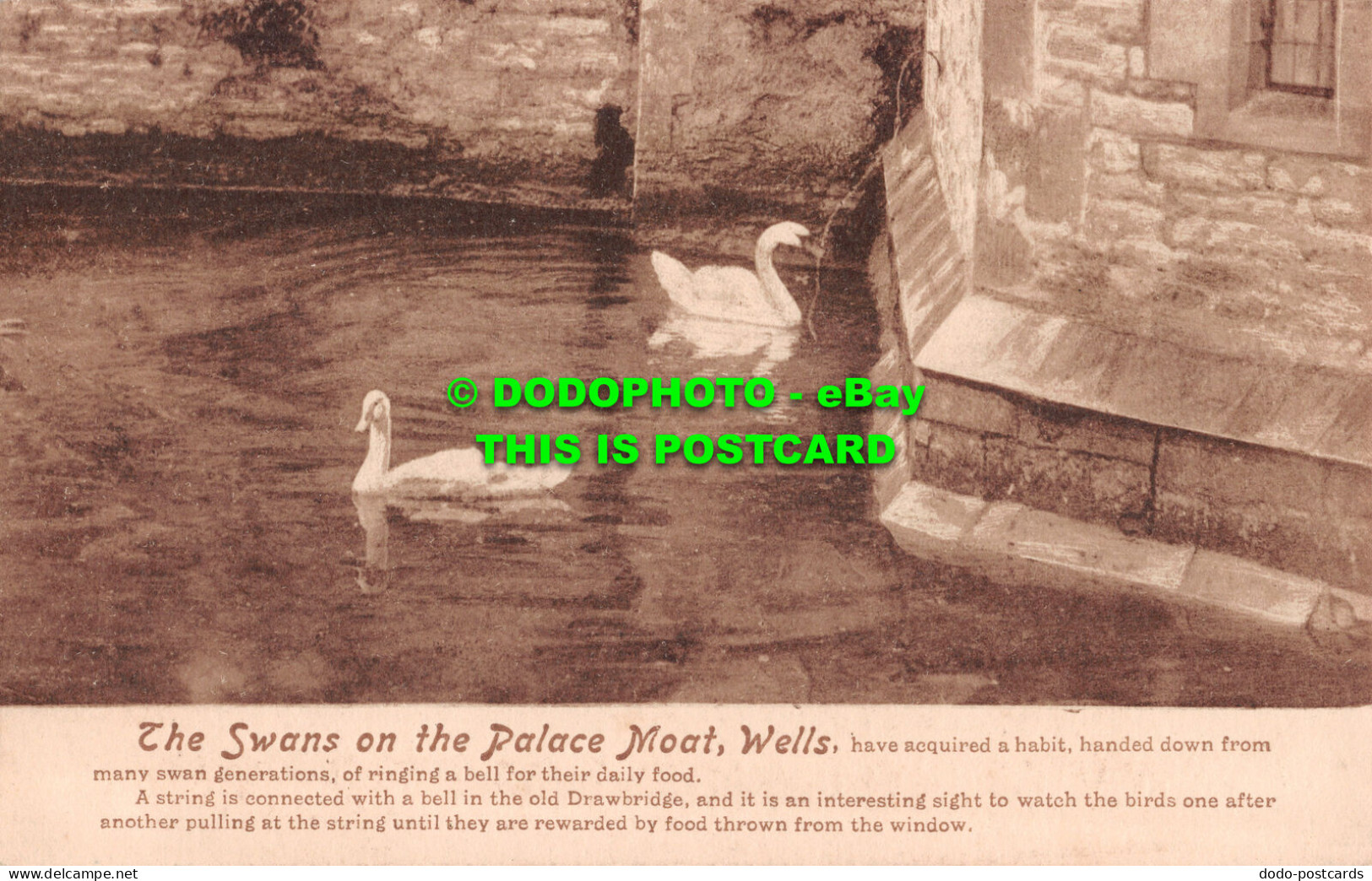 R501657 Wells. The Swans On The Palace Moat. T. W. Phillips. Friths Series No. 5 - Monde