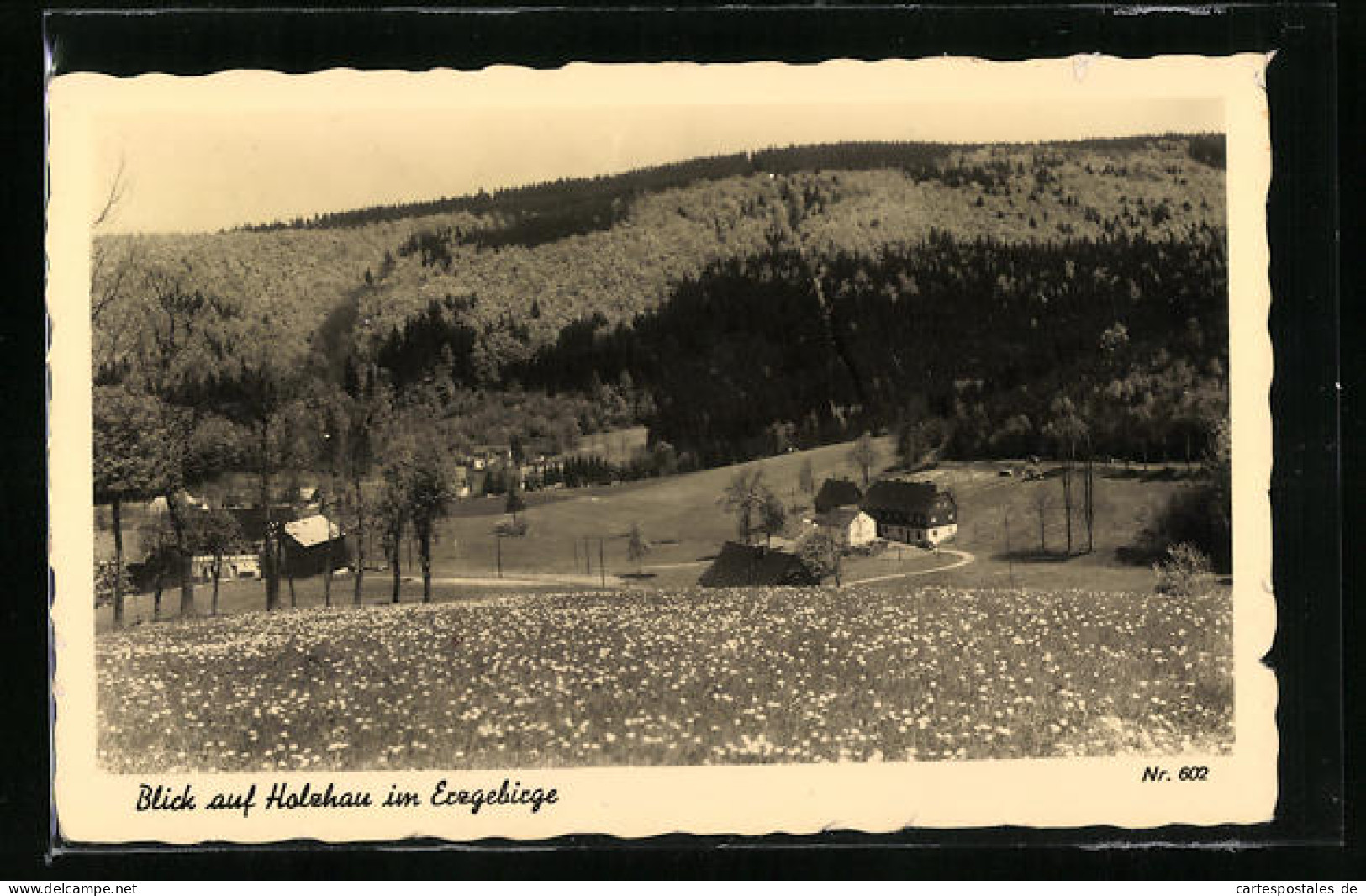 AK Holzhau I. Erzgeb., Gesamtansicht Von Einer Anhöhe Aus  - Holzhau