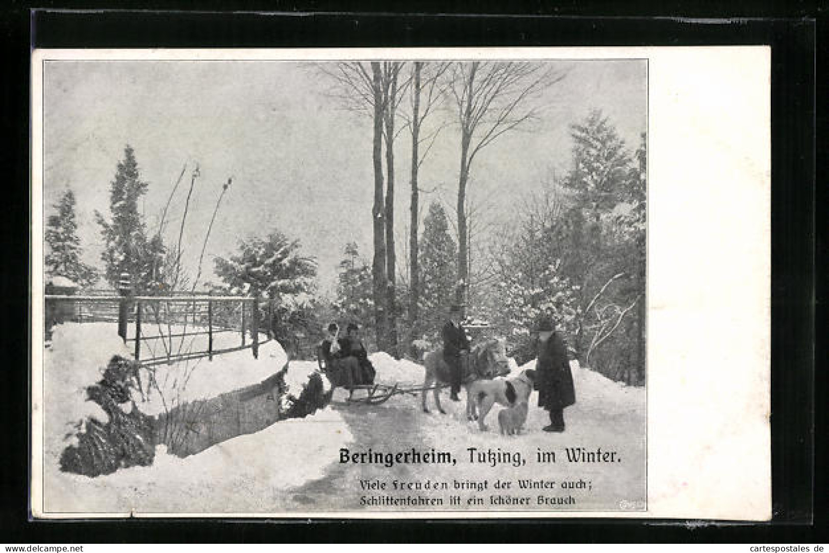 AK Tutzing, Besucher Im Winter Am Beringerheim  - Tutzing