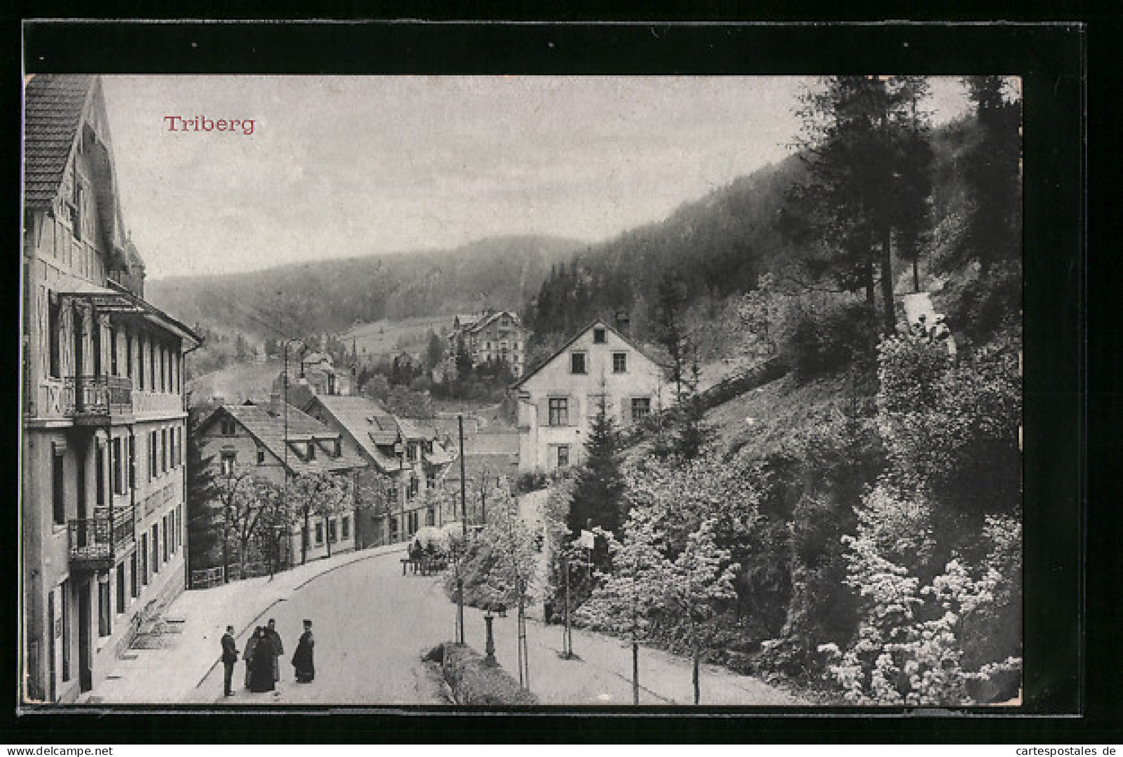 AK Triberg, Teilansicht Mit Anwohnern  - Triberg