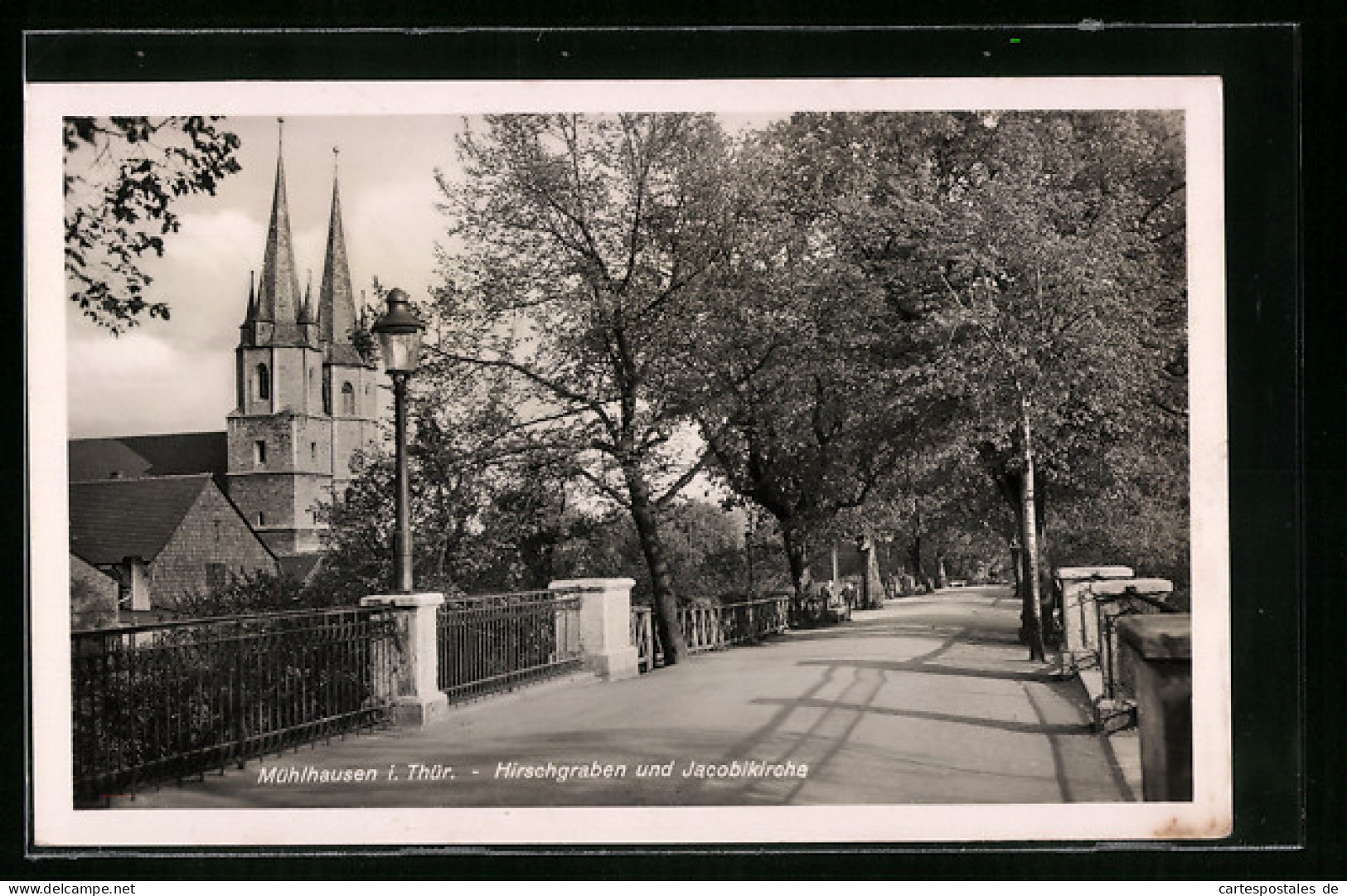 AK Mühlhausen I. Thür., Hirschgraben Und Jacobikirche  - Mühlhausen