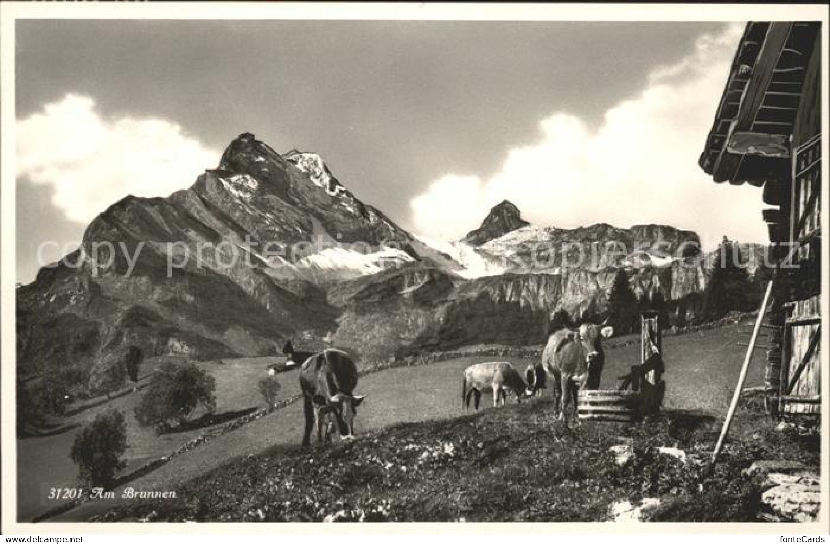 11758619 Braunwald GL Kuehe Am Brunnen Braunwald - Autres & Non Classés