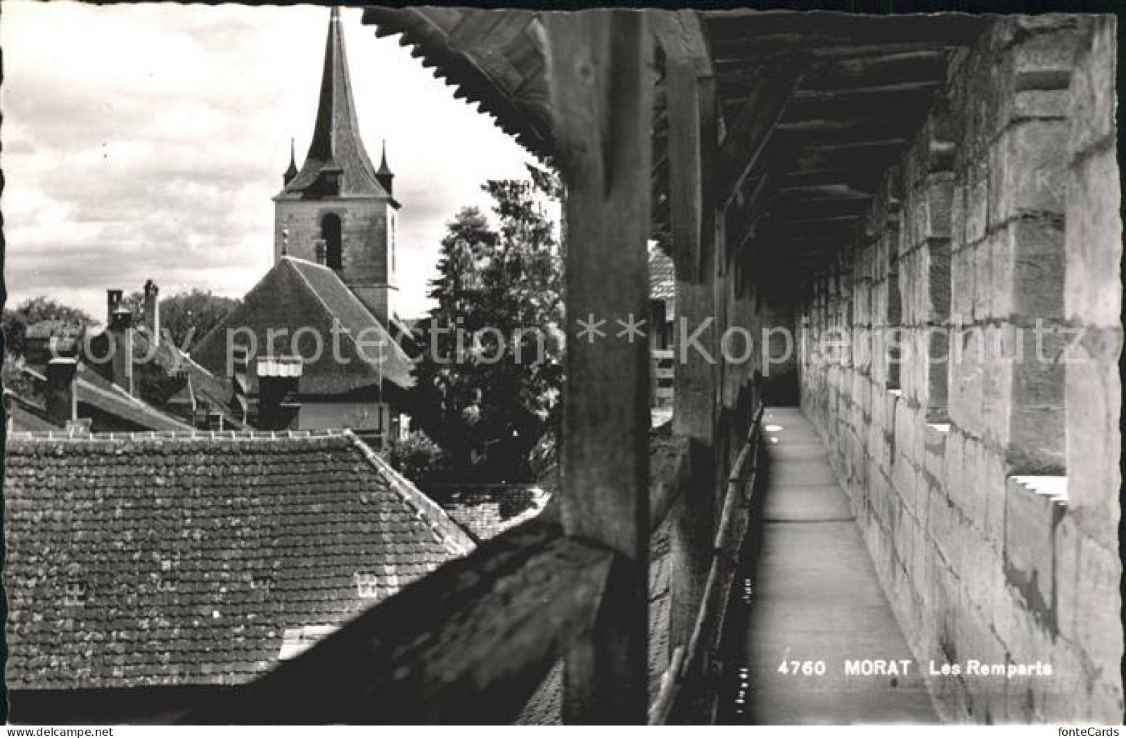 11755969 Morat Murten Les Remparts Murten - Sonstige & Ohne Zuordnung