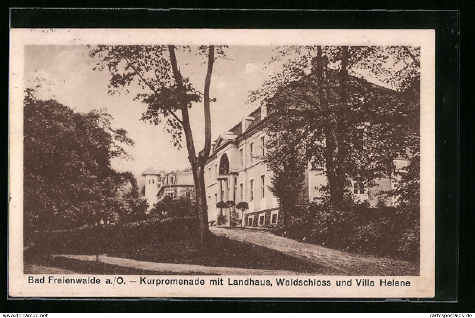 AK Bad Freienwalde / Oder, Kurpromenade Mit Landhaus, Waldschloss Und Villa Helene  - Bad Freienwalde
