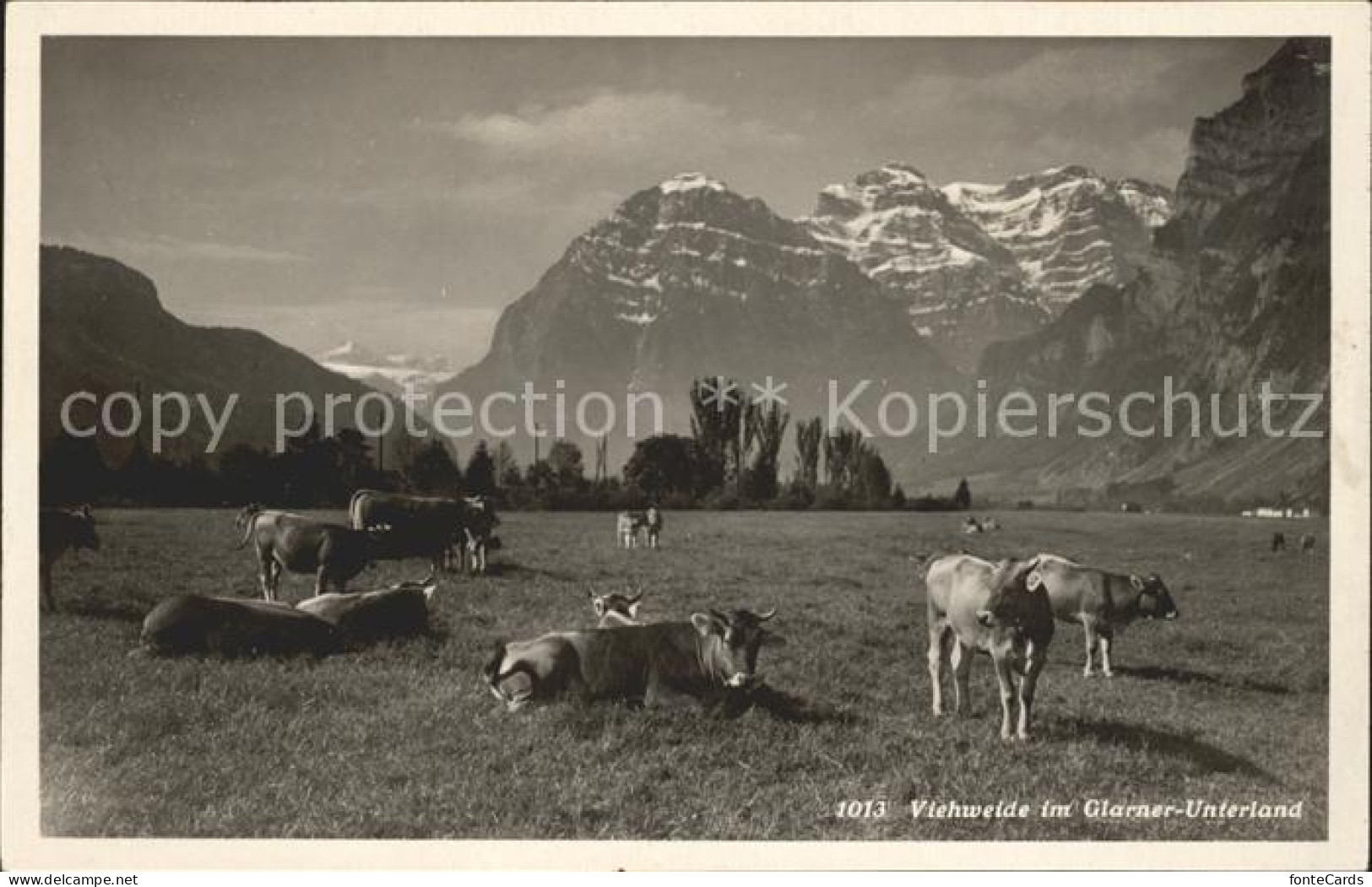 11751589 Glarus GL Viehweide Im Glarner Unterland Glarus - Andere & Zonder Classificatie