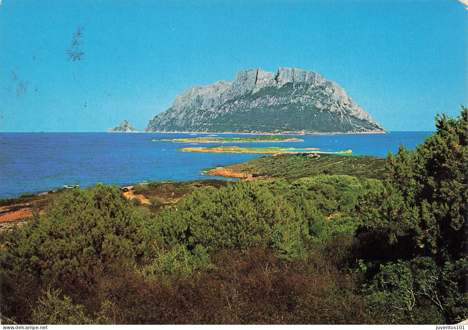 CPSM Olbia-Isola Di Tavolara-Timbre      L2921 - Olbia