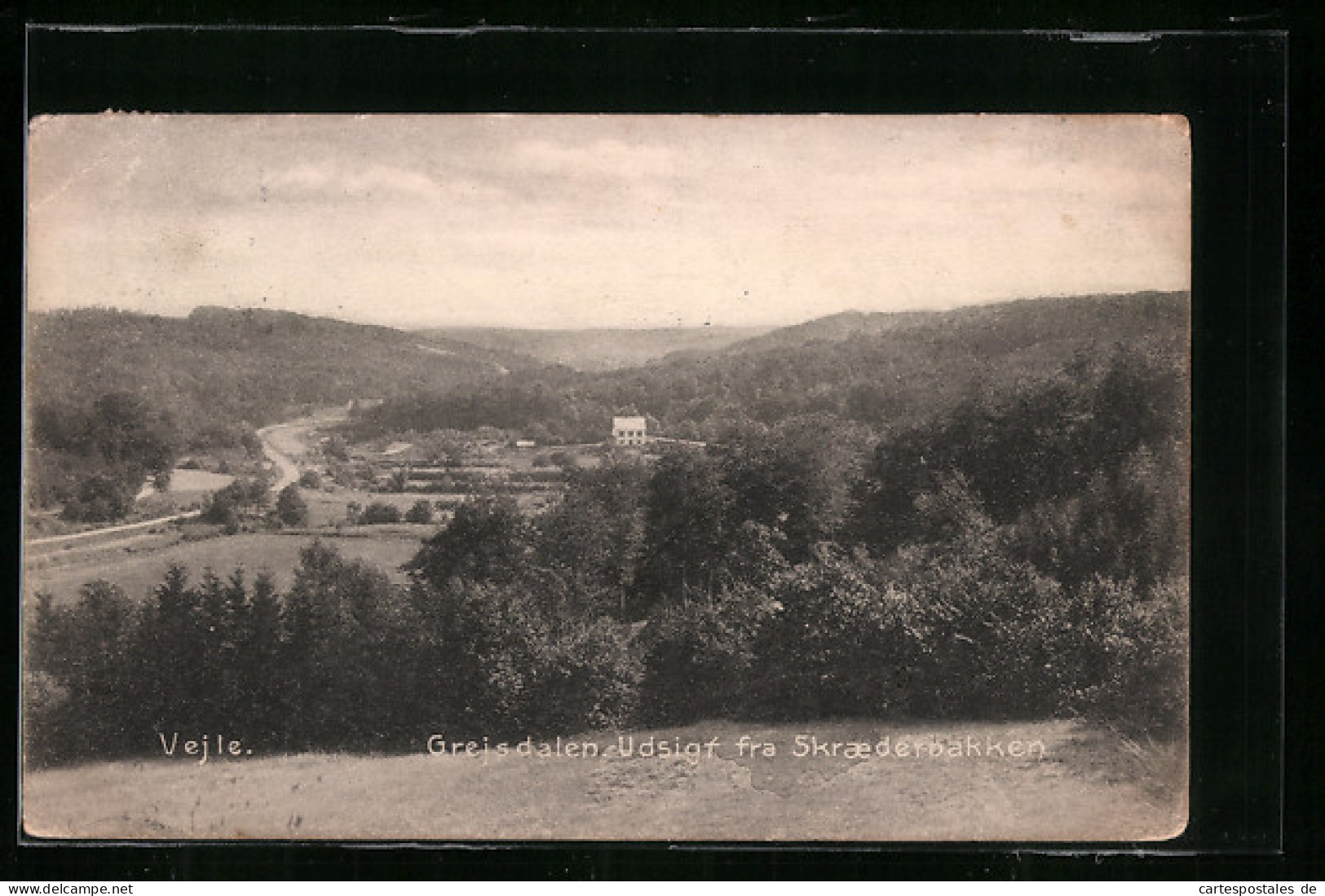 AK Vejle-Grejsdalen, Udsigt Fra Skraederbakken  - Denmark