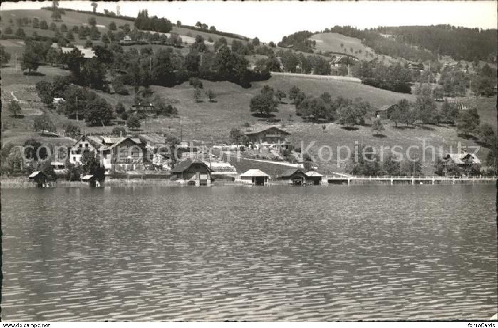 11737049 Aegerisee Aegerisee Unteraegeri Unter-Aegeri ZG   - Sonstige & Ohne Zuordnung